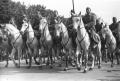 Celebrating Belgrade liberation day 20 October 1945